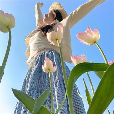 推特共和国